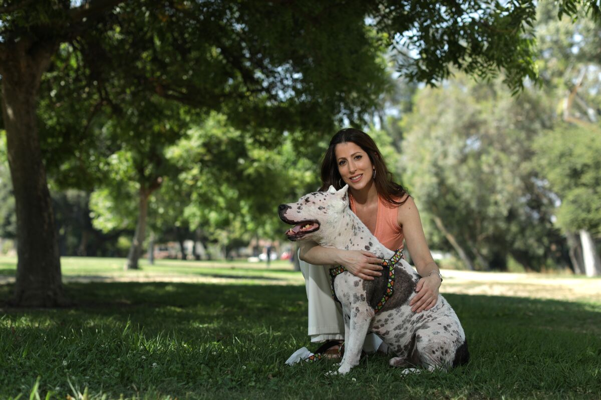 . activist Marc Ching and his foundation exaggerated tales of animal abuse, vets and rescuers say - Los Angeles Times . activist Marc Ching and his foundation exaggerated tales of animal abuse, vets and rescuers say - Los Angeles Times