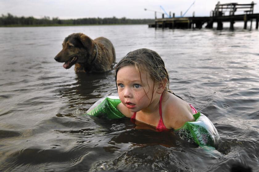 Mikayla Deacy, 4, swims with her dog Dakota in the Pamunkey River. As a member of the tribe, Mikayla will be eligible for scholarships and other benefits now that the Pamunkey have received federal recognition.