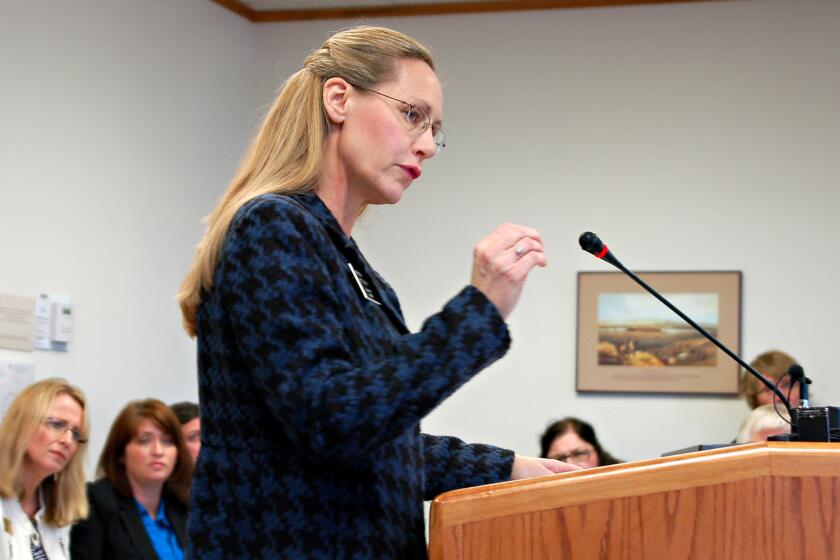 Rep. Bette Grande (R-Fargo) testifies before the House Human Services Committee in Bismarck, N.D. on Jan. 31. The North Dakota Senate approved two anti-abortion bills on March 15.