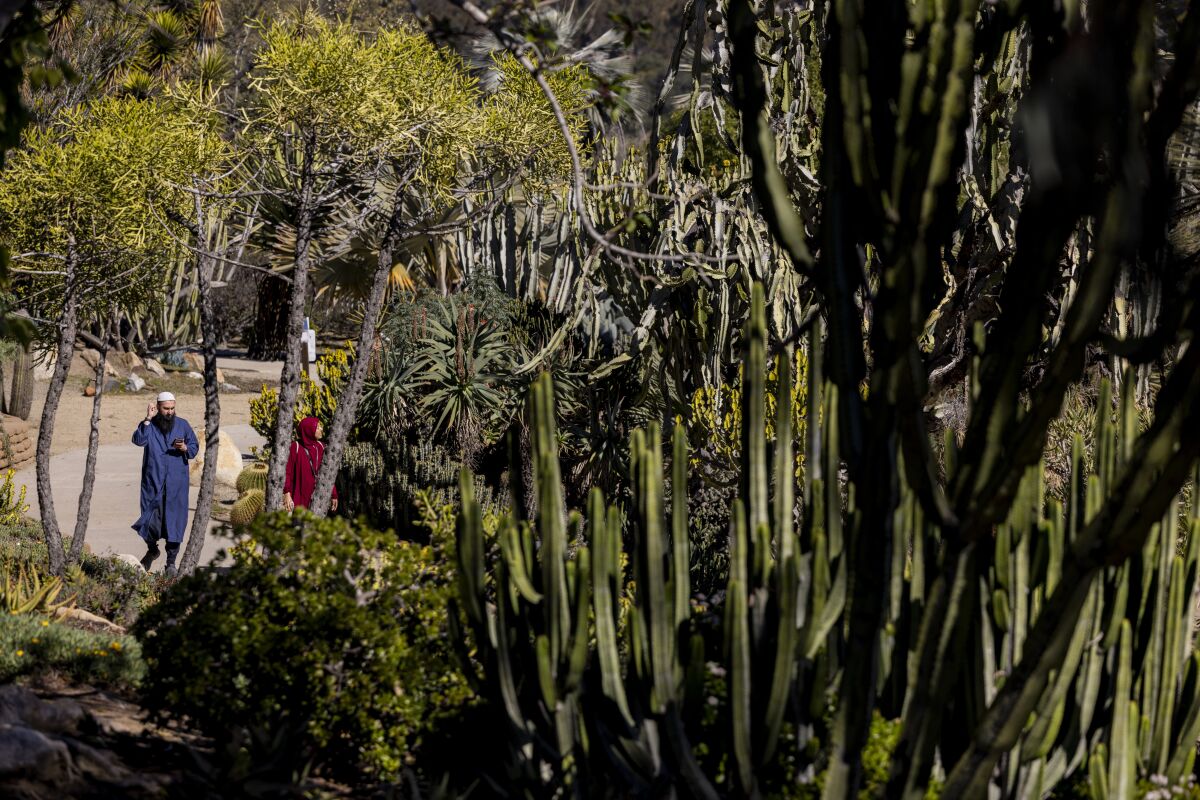 People walk through the Desert Garden in Balboa Park on Tuesday, Feb. 7, 2023 in San Diego, CA.