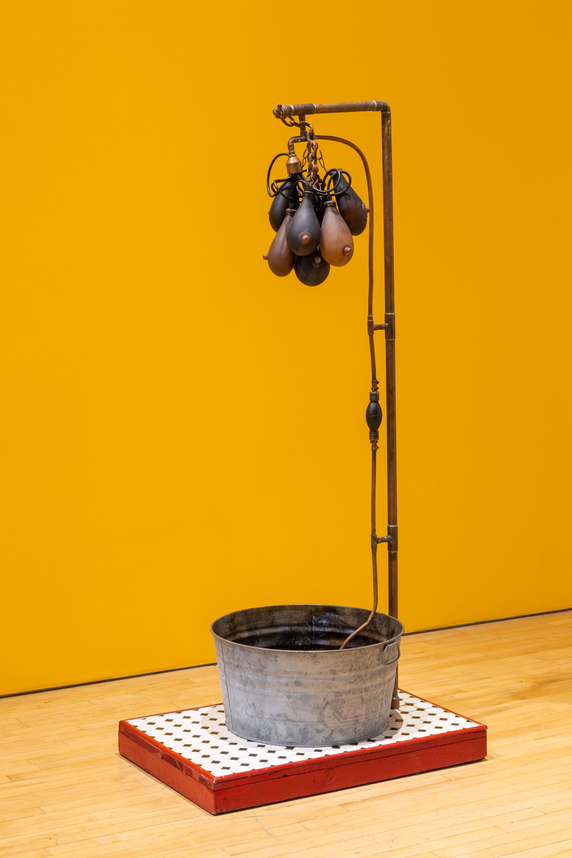 An assemblage sculpture features a clutch of breast-like forms made from glass suspended over a washtub
