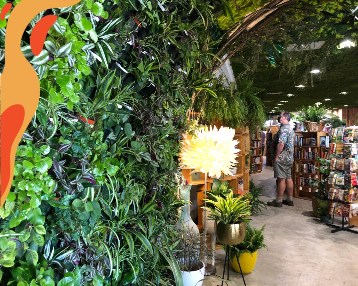 Lost Books in Montrose is filled with plants and books.