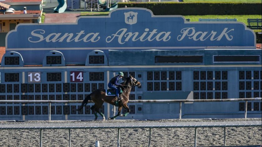 A rider on the training track at Santa Anita Race Track in Arcadia, Calif. on March 8.