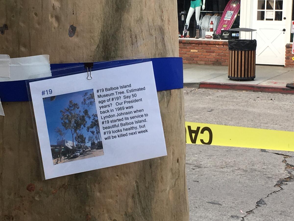 A message objecting to its scheduled removal is attached to a eucalyptus tree Monday outside the Balboa Island Museum on Marine Avenue in Newport Beach.