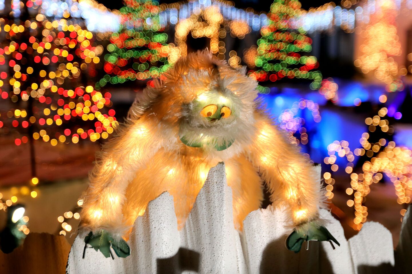 Bumble, the adominable snowmonster of the North, from the television classic "Rudolf the Red-Nosed Reindeer," looks down from his perch at the extensive Christmas light display at the home of Mack Schreiber on Reche Road in Fallbrook.