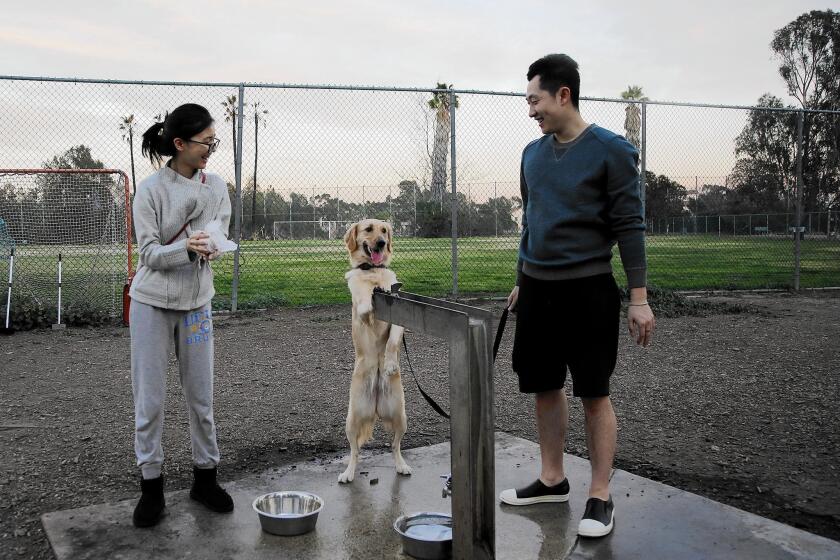 Evelyn Liu, left, and Lin Tian, who live in Santa Monica, visit the Brentwood dog park with their dog, Coco. The park is part of the Veterans Affairs Department’s West Los Angeles campus.