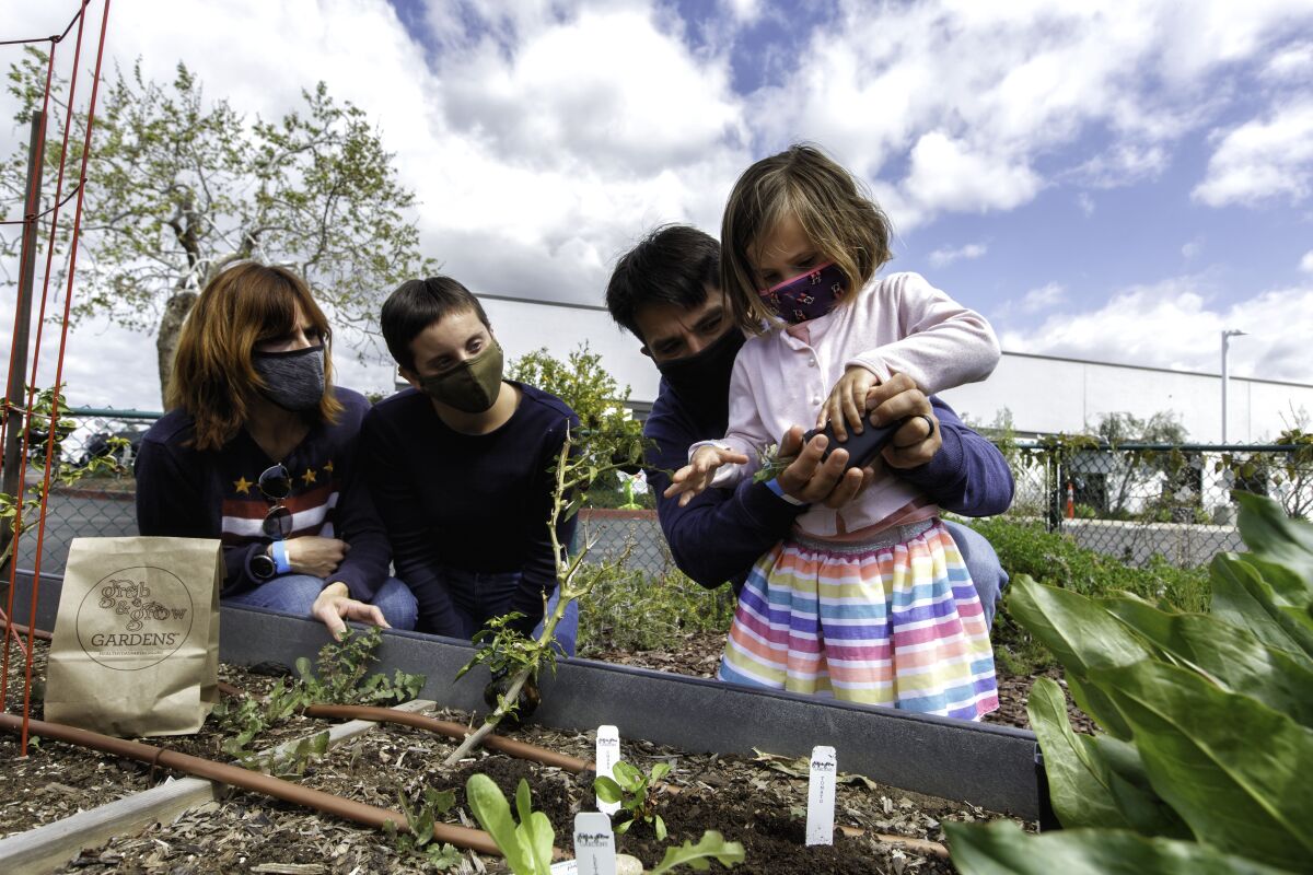 Grab & Grow Gardens