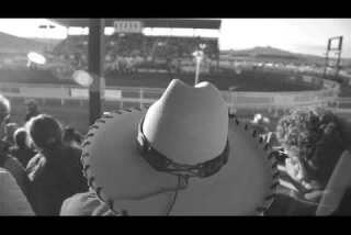 A Minute Away: Parade and rodeo, Cody, Wyoming