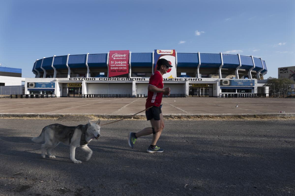 A man jogs with his dog past Corregidora 