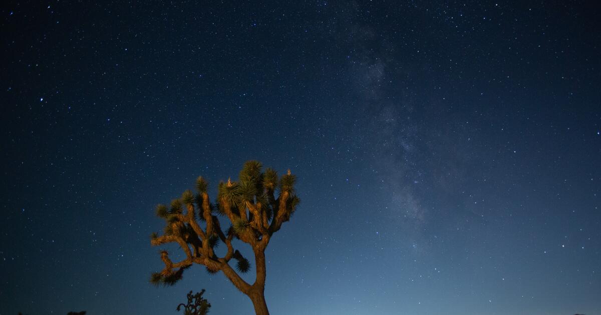 Joshua Tree'de gece gökyüzünün daha iyi fotoğrafları nasıl çekilir?