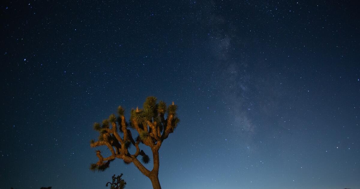 Joshua Tree’de gece gökyüzünün daha iyi fotoğrafları nasıl çekilir?