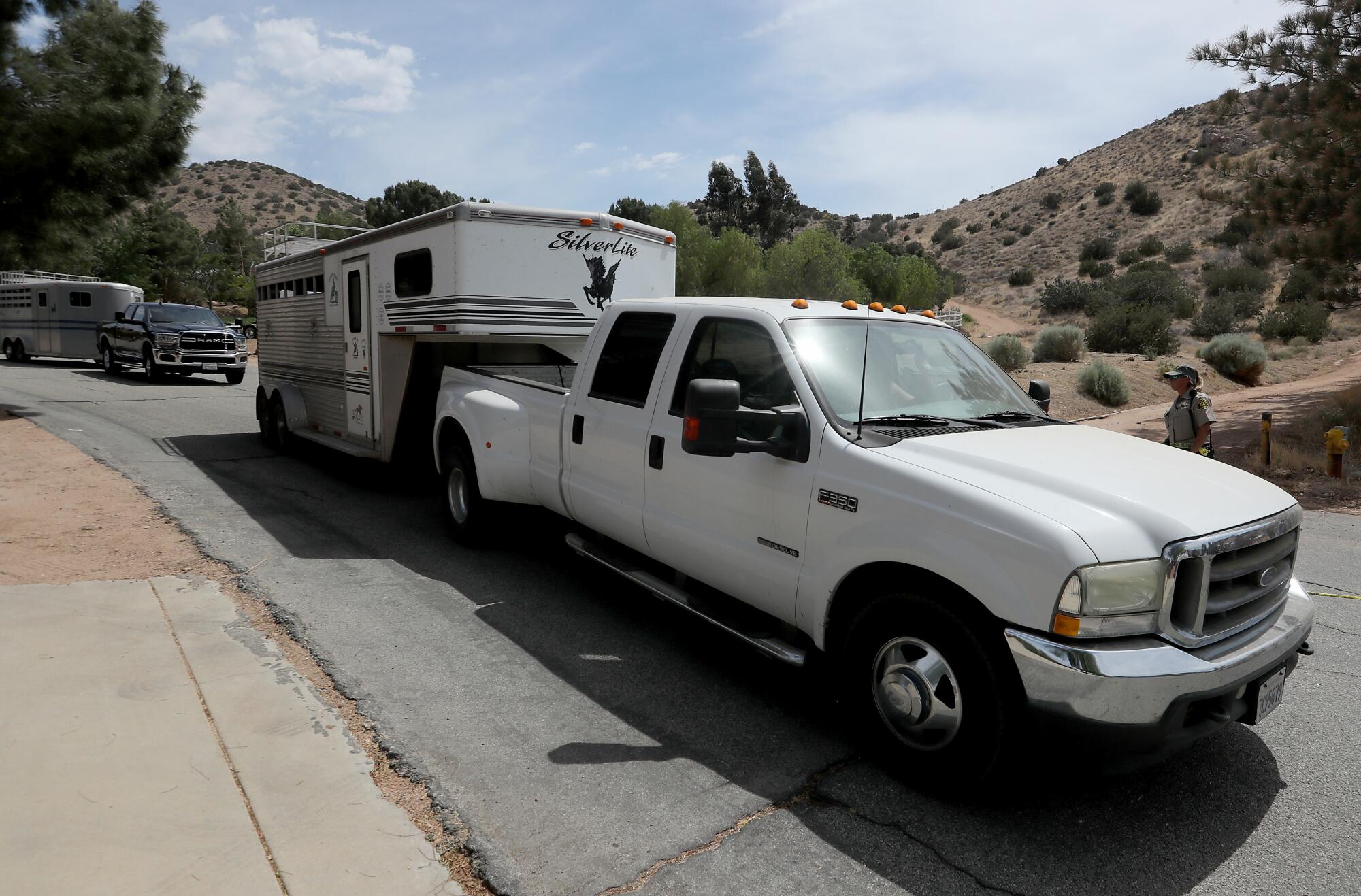 Two pickup trucks pull horse trailers down a street