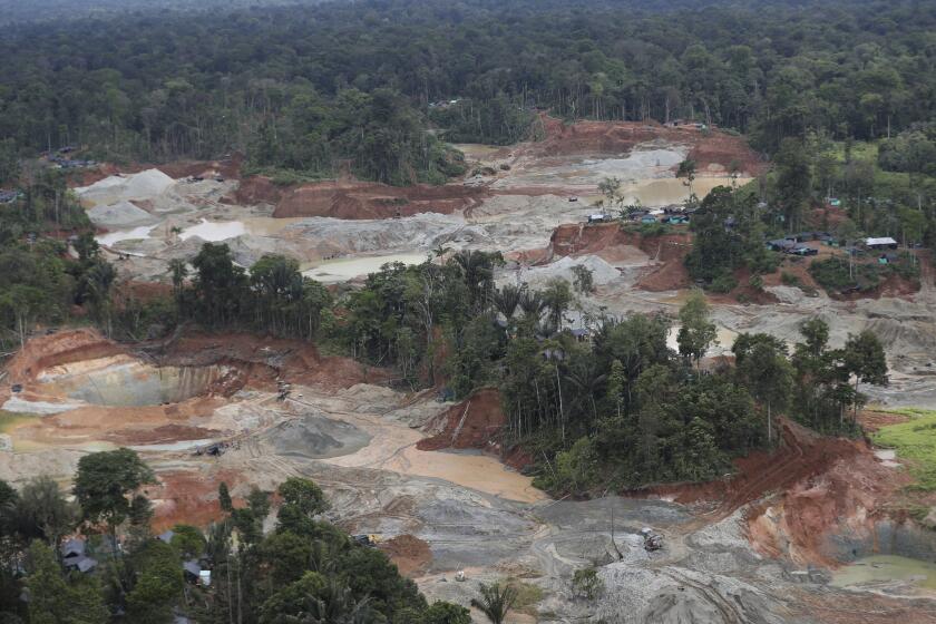 ARCHIVO - Una operación ilegal de minería de oro que contribuyó a la deforestación es visible el 20 de abril de 2021, en el municipio de Magüi Payán, Colombia. (AP Foto/Fernando Vergara, archivo)