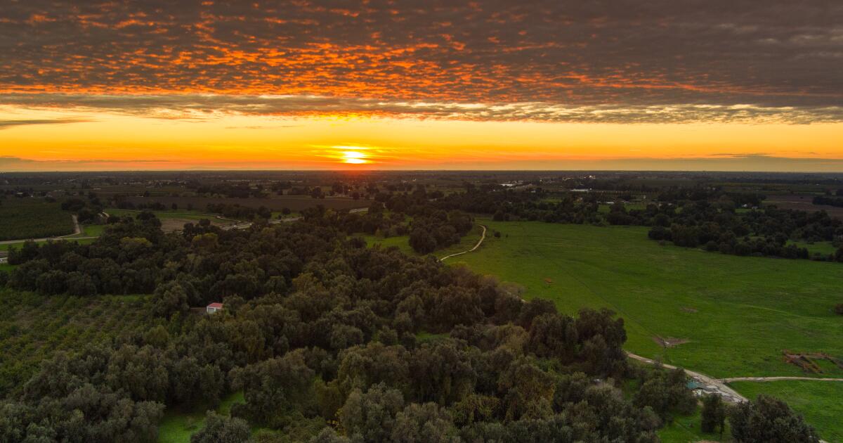 Visalia, a ‘porta de entrada para as sequóias’ da Califórnia, oferece atrações inesperadas Visalia, a ‘porta de entrada para as sequóias’ da Califórnia, oferece atrações inesperadas
