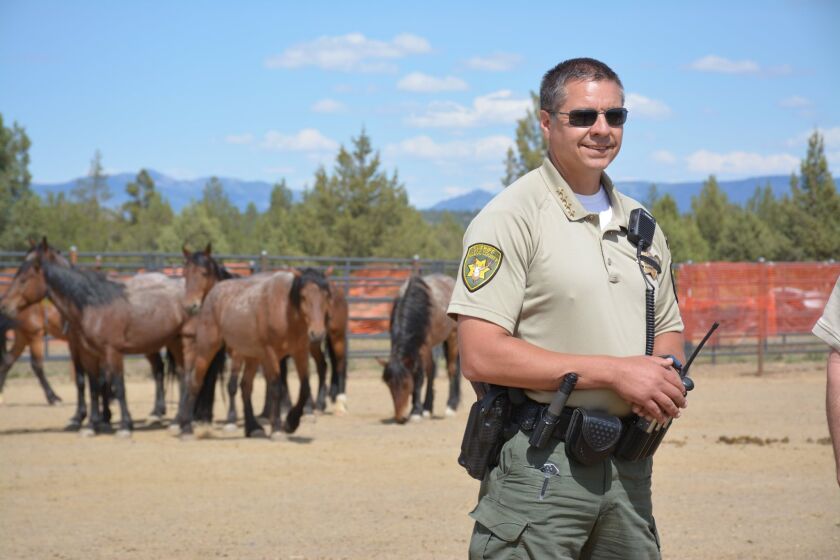 Modoc County Sheriff Tex Dowdy prepares for the annual Fourth of July Parade in July 2020. It's tradition that sheriff lead the parade on horseback behind the color guard.