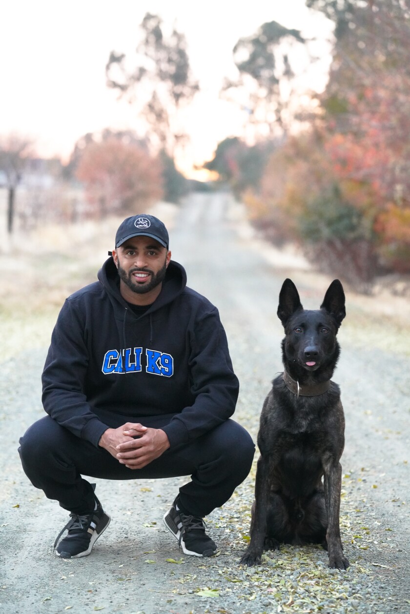 Why Canine Intervention On Netflix Trains Humans Not Dogs Los Angeles Times