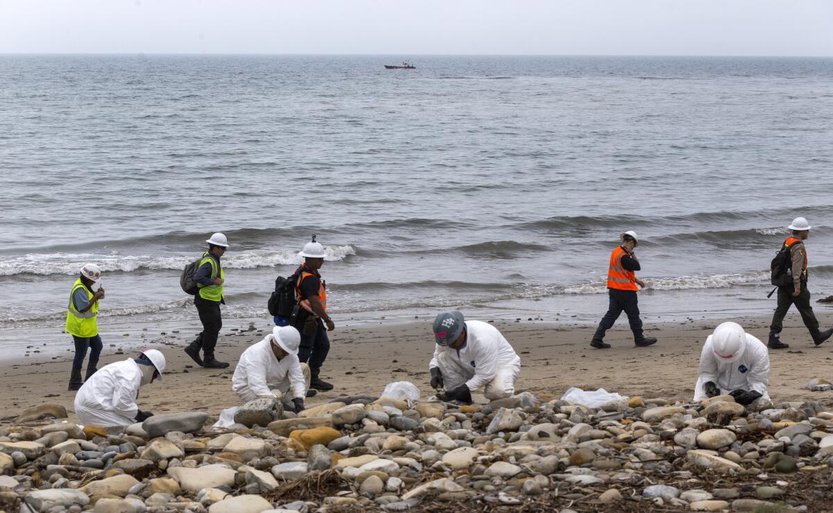 Shoreline Cleanup Assessment Technique team members evaluate oil coverage as workers clean up areas affected by an oil spill at Refugio State Beach, north of Goleta, Calif., in June.