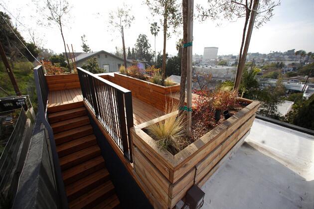 Stairs lead to the roof, where the small house truly rises above the city. On a clear winter day, the rooftop deck with olive trees and native grasses provides views of the snow-capped San Gabriel Mountains, Griffith Observatory and the Hollywood sign.