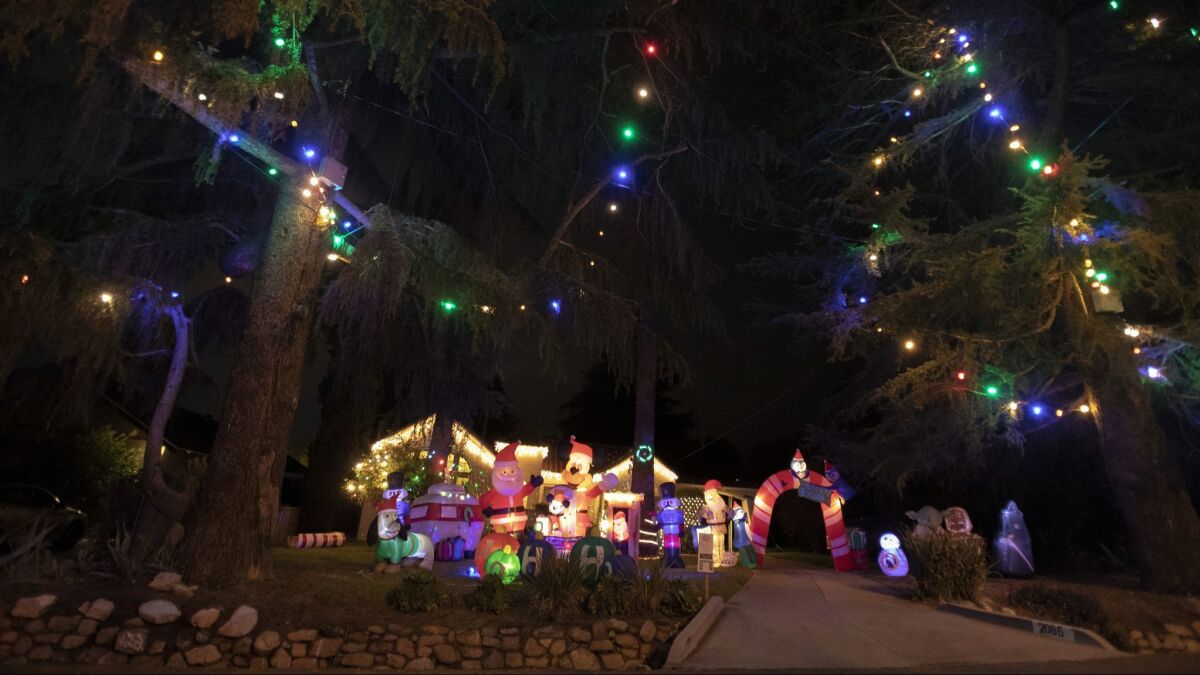 Decorations and lights on Christmas Tree Lane.