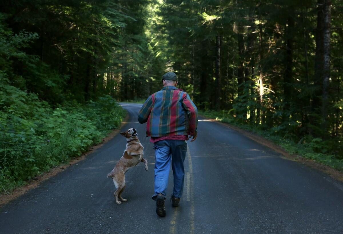 Lee Spencer and his dog, Maggie, run down a road near the creek where they live to keep watch over the steelhead. (Katie Falkenberg / Los Angeles Times)