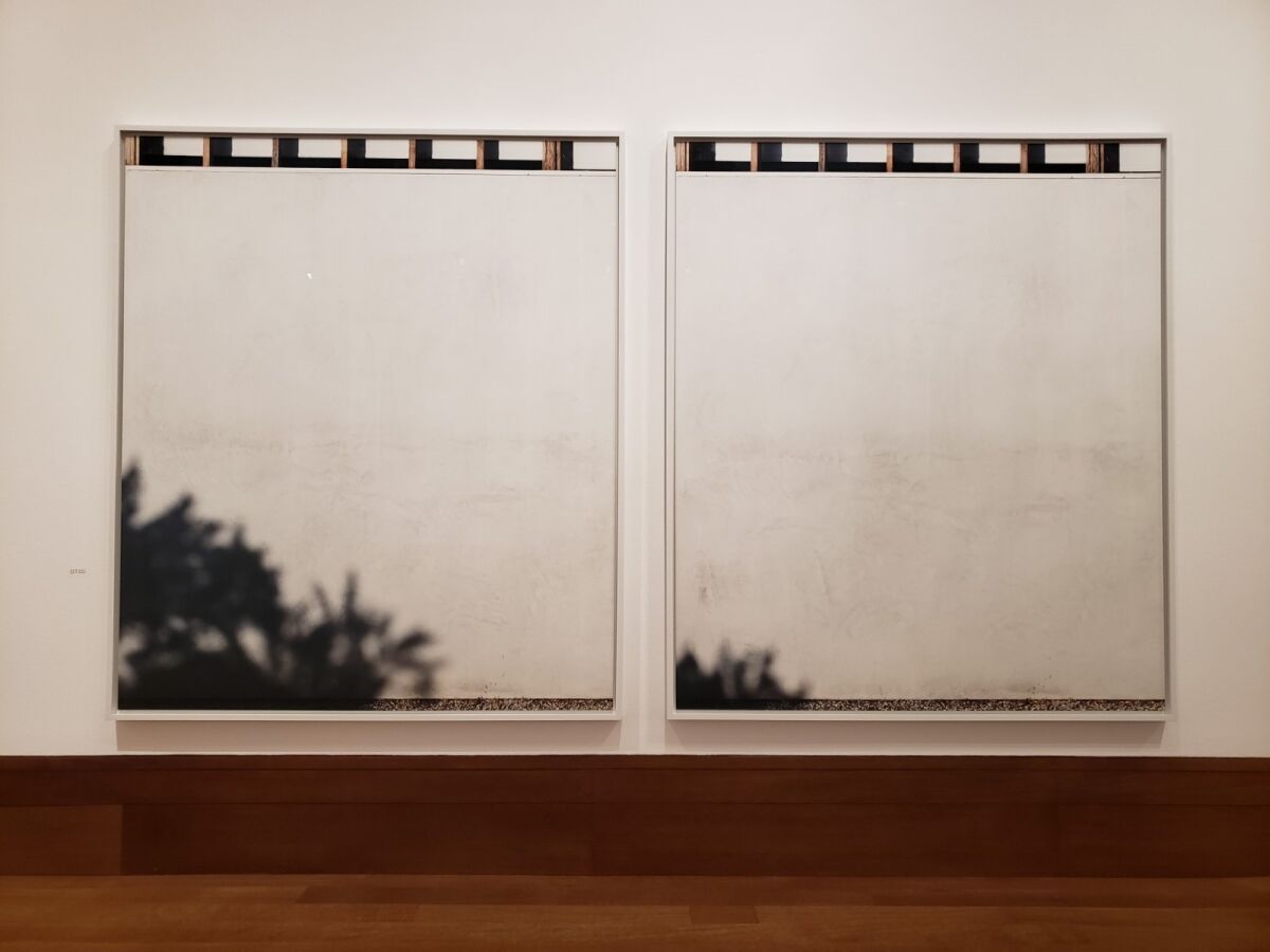 Two white panels with the shadows of leaves.