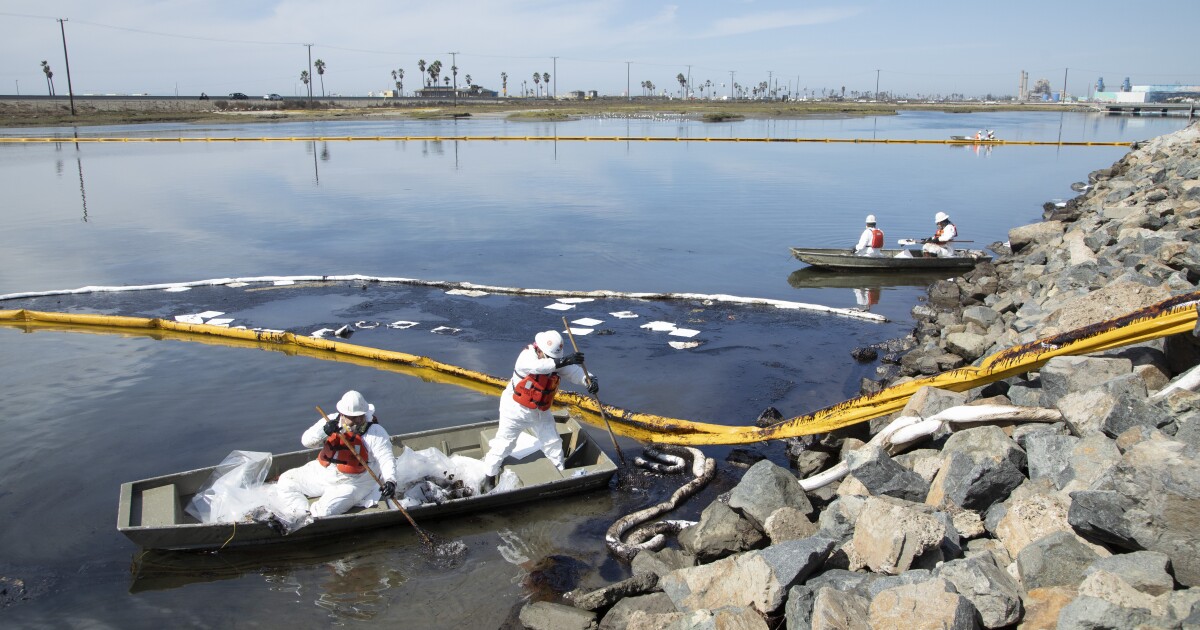 Oil spill seeps into O.C.’s coastal wetlands a critical link along migratory bird route – Los Angeles Times