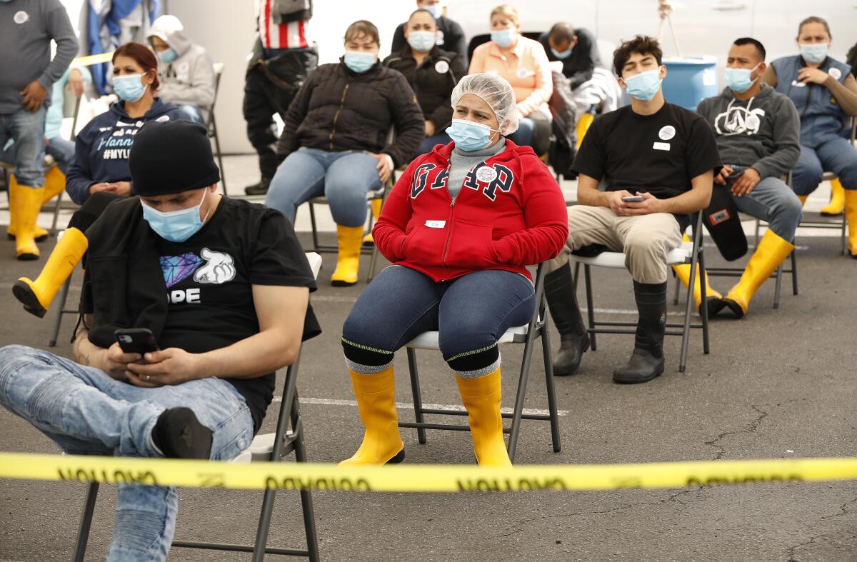 Workers for Rose & Shore, Inc., a food processing plant, wait after getting vaccinated.