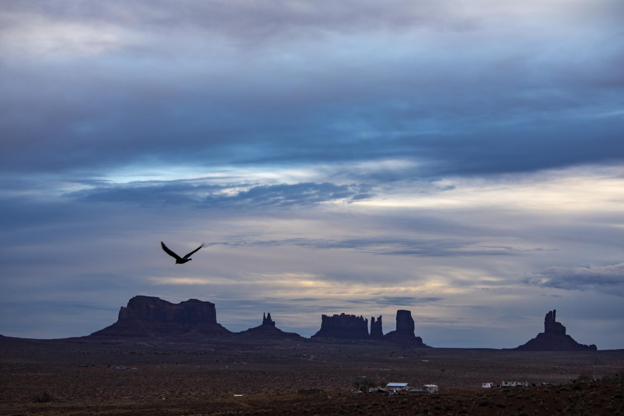 A bird takes flight over Monument Valley in the Navajo Nation.