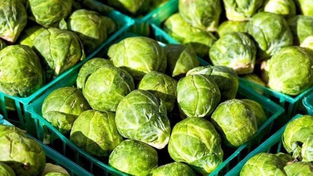Brussels sprouts are typically in season from late fall through the winter months.