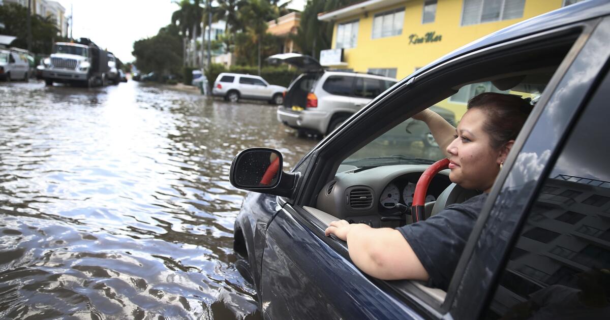 Trump's climate science denial clashes with reality of rising seas in Florida