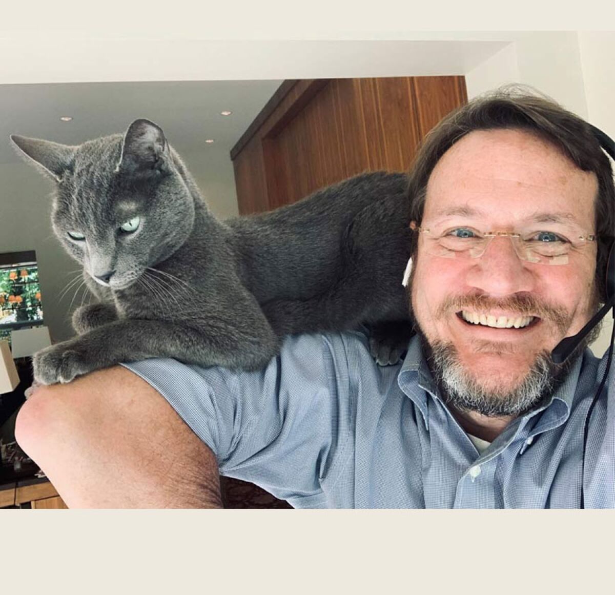 A gray cat sits on a man's shoulders
