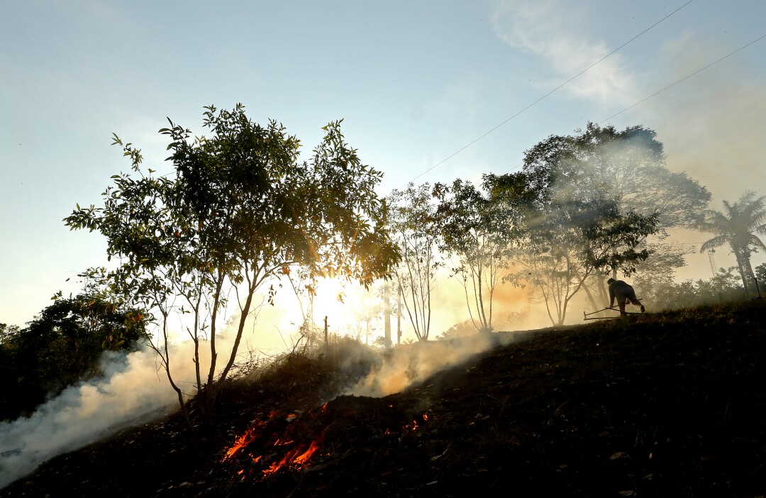 A villager burns brush 