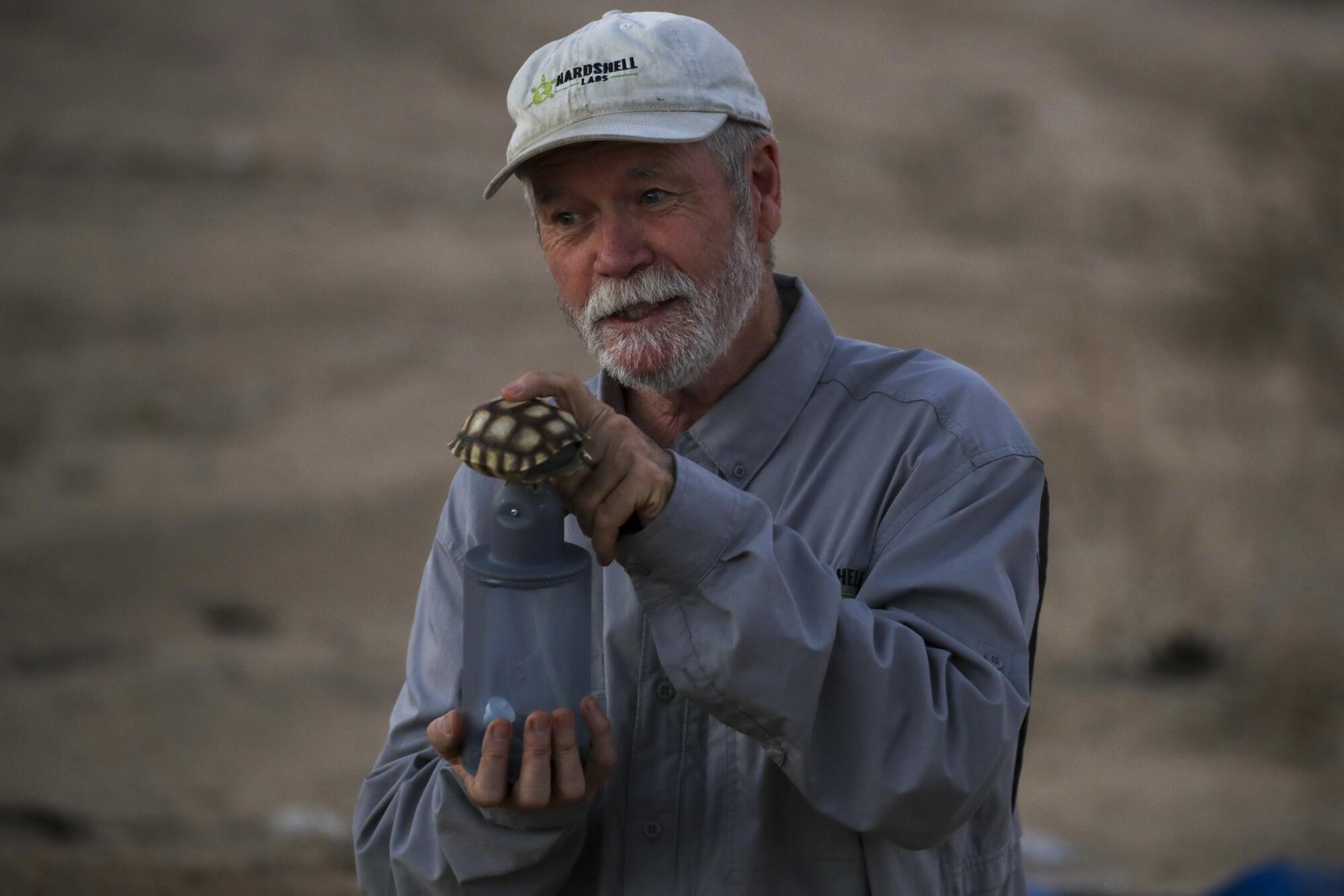 A man holds a replica of a juvenile tortoise.
