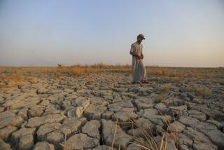 A fisherman walks across a dry patch of land in the marshes of southern Iraq which has suffered dire consequences from back to back drought and rising salinity levels, in Dhi Qar province, Iraq, Friday Sept. 2, 2022. (AP Photo/Anmar Khalil)