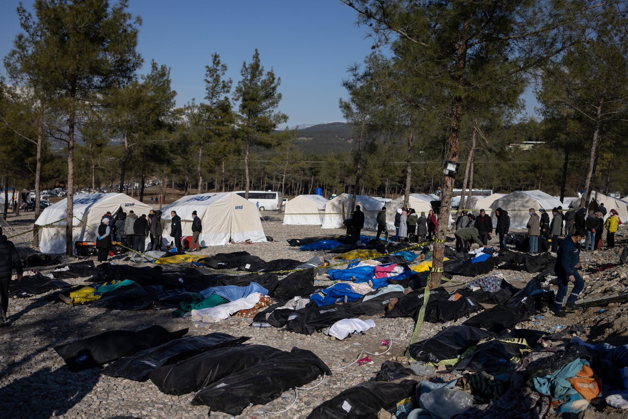 Bodies in black bags and other coverings lying on the ground as people mill around several white tents under evergreen trees