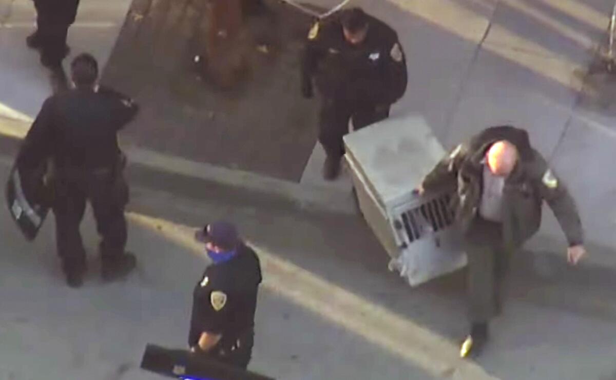 San Francisco police and animal control officers carry away a young mountain lion