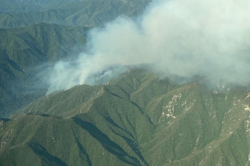 The Willow fire in Los Padres National Forest.