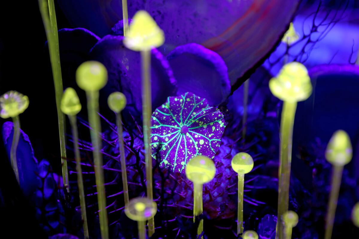 Glowing sculptural pieces resembling mushrooms and jellyfish sit within a sculpture illuminated by purple light.
