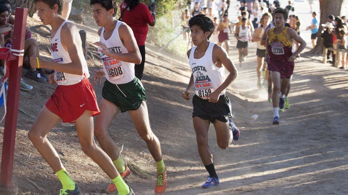 Costa Mesa High’s Elliot Hachac (9159), seen running on Oct. 21, 2016, finished fifth in the Boys’ Division 4 Sweepstakes race at the Mt. SAC Invitational.