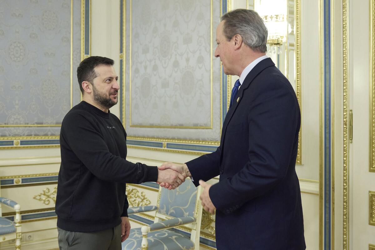 Volodymyr Zelensky shakes hands with David Cameron