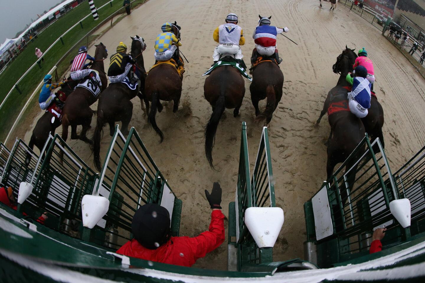 The horses break from the starting gate to begin the 140th Preakness Stakes on Saturday at Pimlico Race Course.