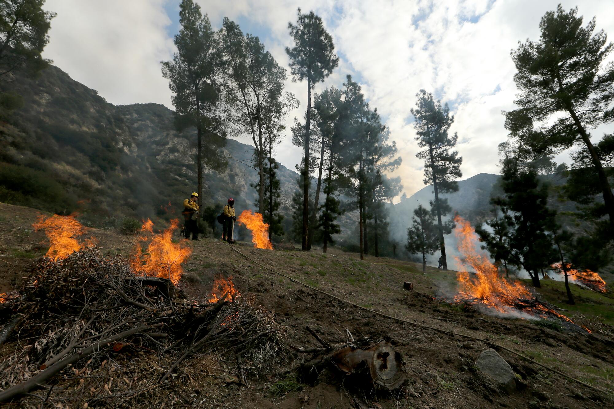 U.S. Forest Service firefighters in the Angeles National Forest burn piles of forest debris below Mt. Baldy.