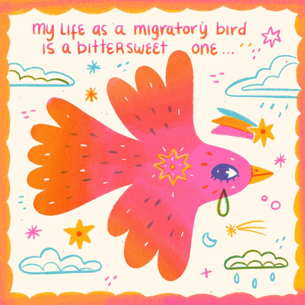 My life as a migratory bird is a bittersweet one...