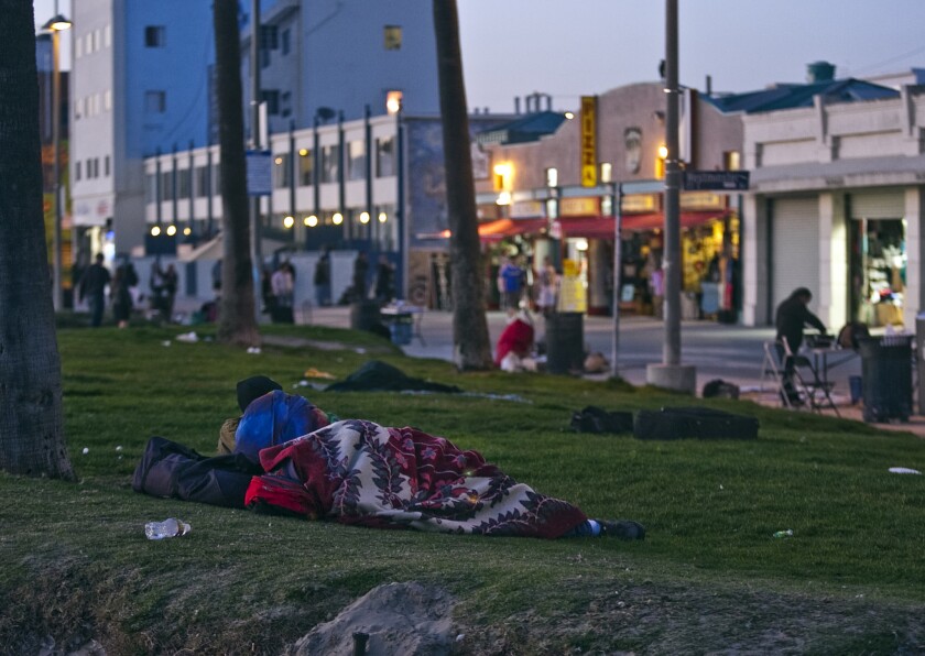 A man rests on the grassy area along Ocean Front Walk in Venice, where police are enforcing a curfew, driving the homeless inland to sleep on the sidewalks.
