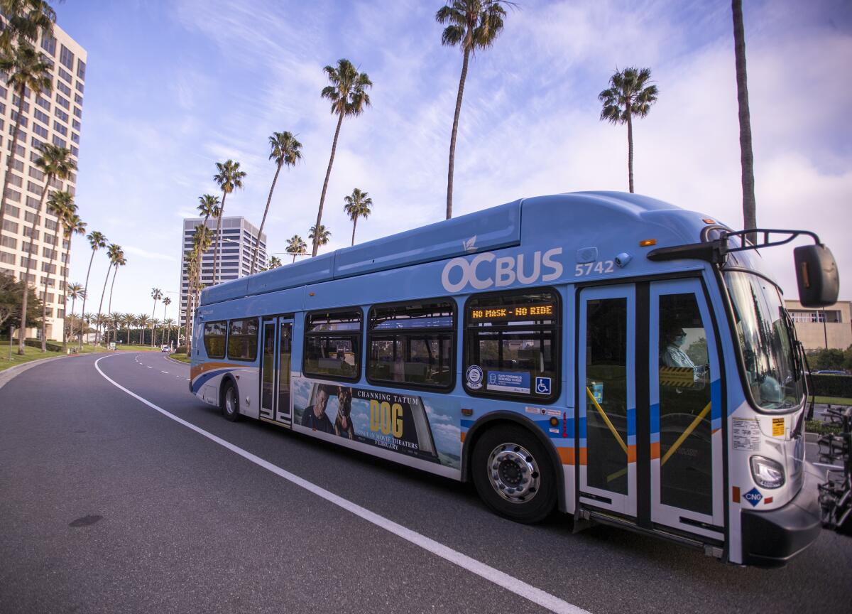 A bus on the street with palm trees in the background