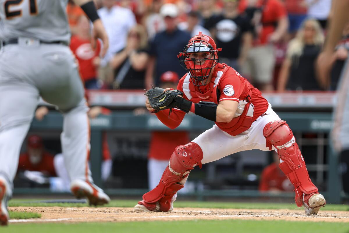 Just how much will we see of Cincinnati Reds catcher Tyler Stephenson in  2022? - Red Reporter