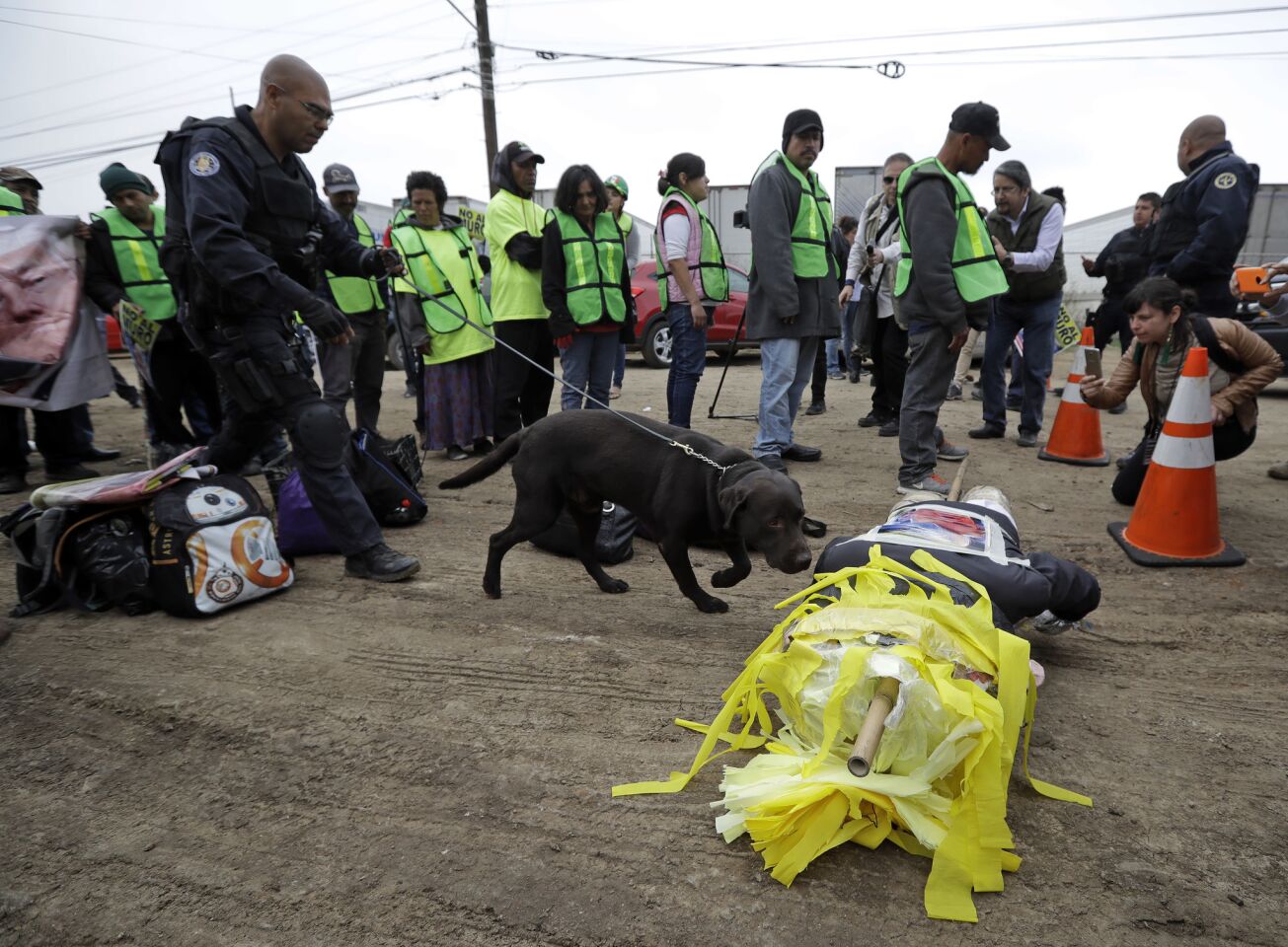 Police use a bomb-sniffing dog to inspect a piñata that protesters brought to an anti-Trump rally in Tijuana on March 13.