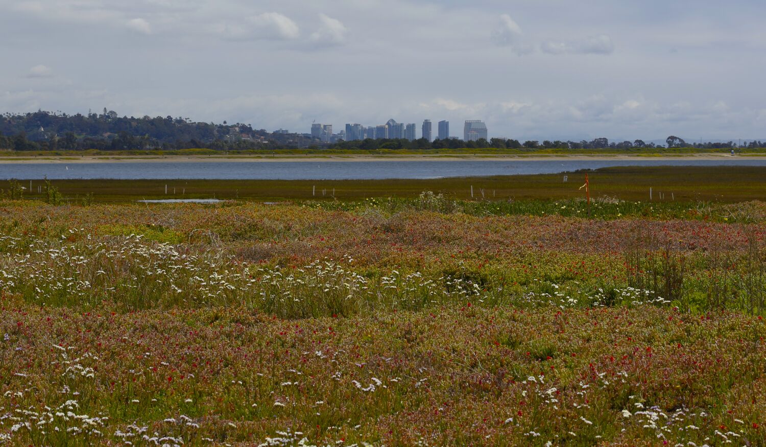 Supreme Court limits EPA protection for wetlands