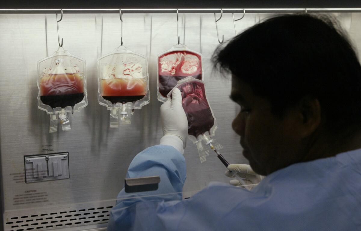A clinical laboratory scientist draws a sample of blood which will be tested for bacterias. At left, the bags have separated the red blood cells from the white blood cells. The stem cells are found in the white blood cells fluid.