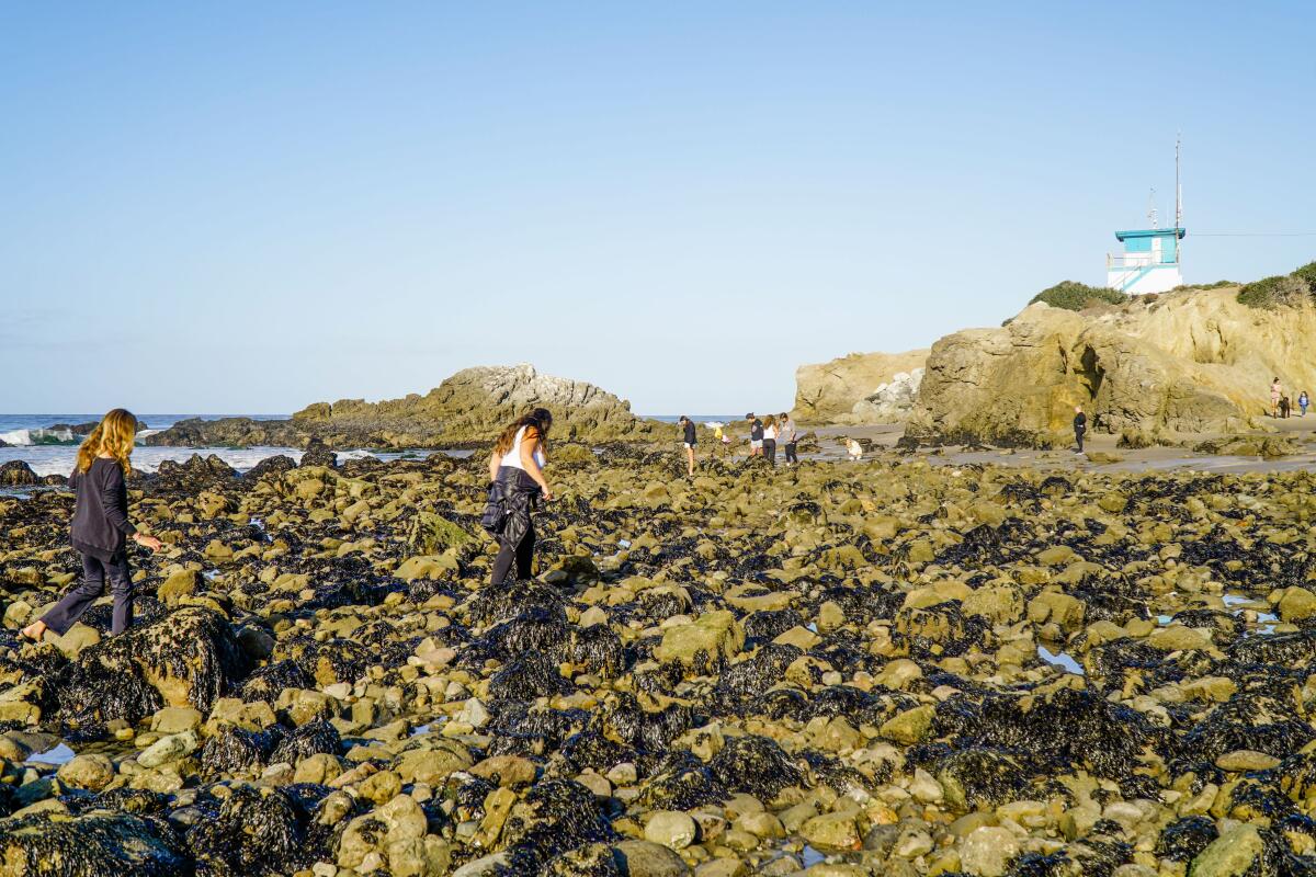 People walk among rocks at Leo Carrillo State Beach.